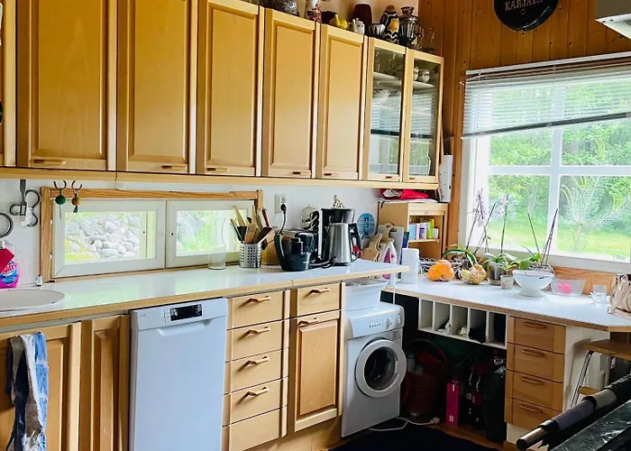 Blueberry At Saimaa Lakeside * Taipalsaari