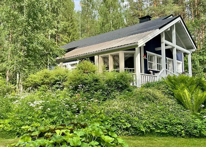 Blueberry At Saimaa Lakeside Taipalsaari