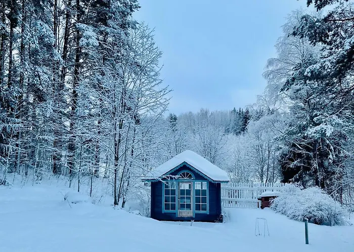 Blueberry At Saimaa Lakeside Villa