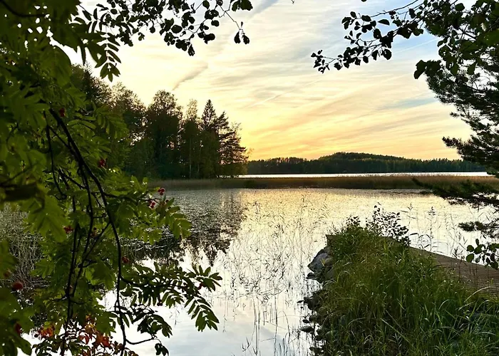 Blueberry At Saimaa Lakeside