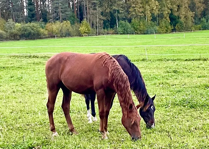 Blueberry At Saimaa Lakeside Вилла