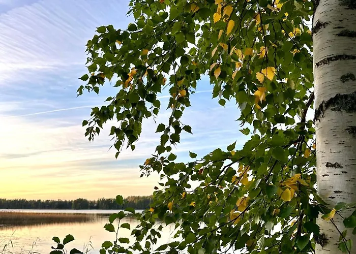 Вилла Blueberry At Saimaa Lakeside Тайпалсаари