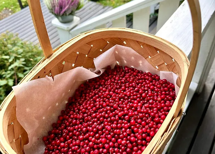 Blueberry At Saimaa Lakeside Тайпалсаари