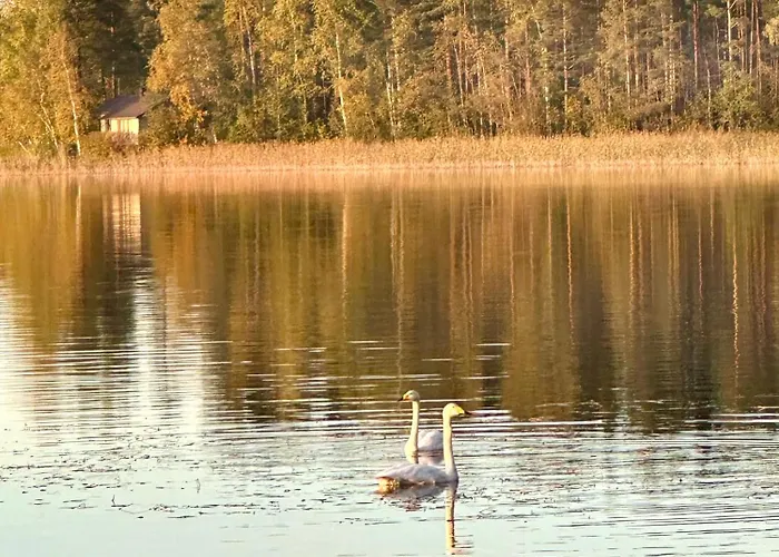 Blueberry At Saimaa Lakeside * Тайпалсаари