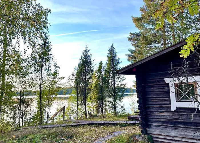 Blueberry At Saimaa Lakeside