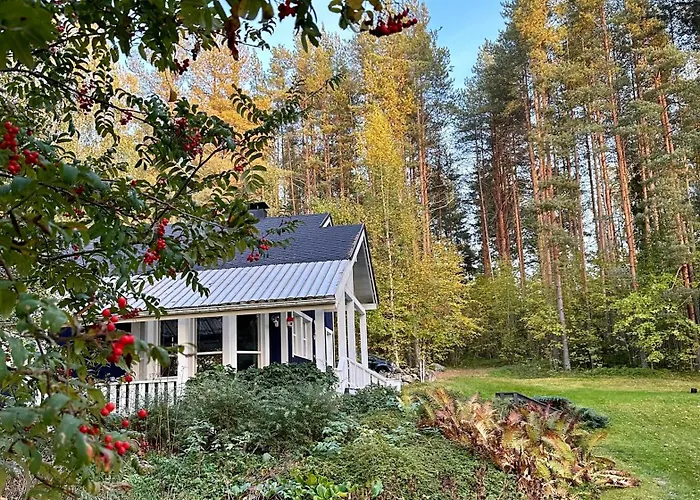 Vila Blueberry At Saimaa Lakeside *