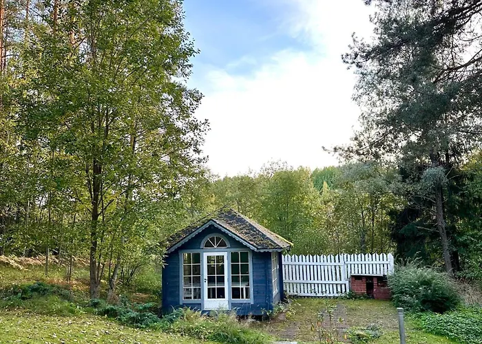 Blueberry At Saimaa Lakeside Vila Taipalsaari