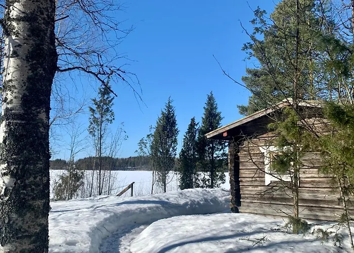 Blueberry At Saimaa Lakeside Vila Taipalsaari
