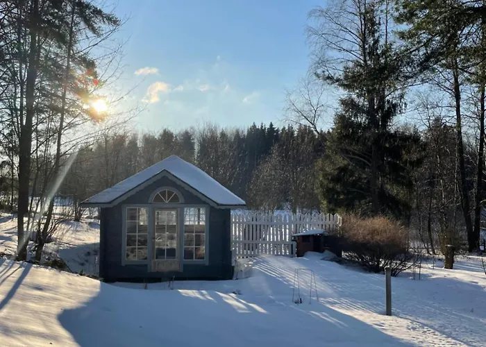 Blueberry At Saimaa Lakeside Тайпалсаари