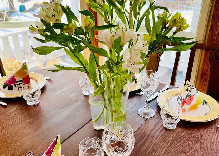 Blueberry At Saimaa Lakeside