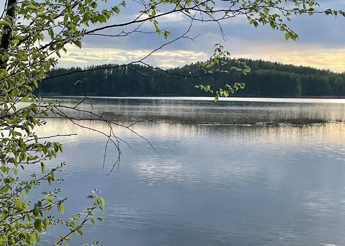Blueberry At Saimaa Lakeside