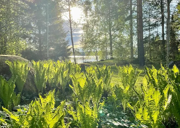 Вилла Blueberry At Saimaa Lakeside Тайпалсаари