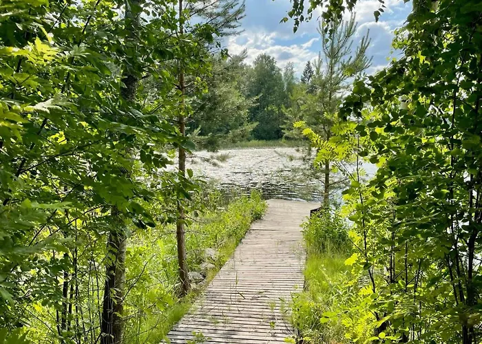 Blueberry At Saimaa Lakeside