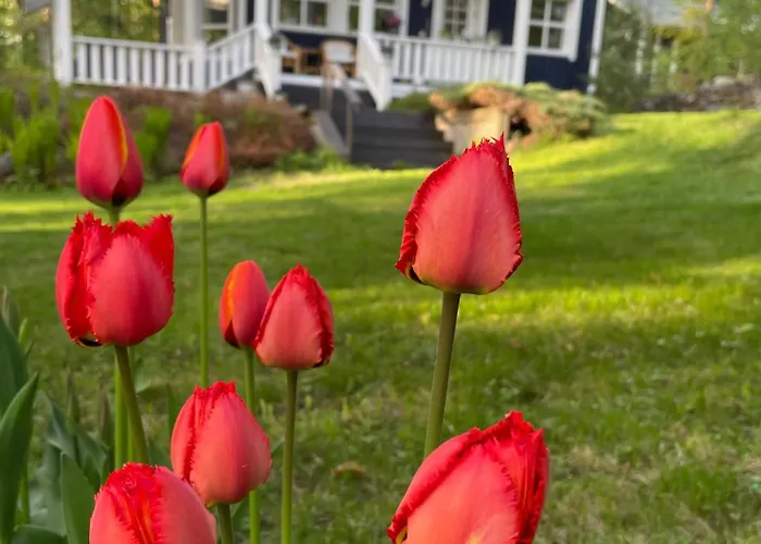 Vila Blueberry At Saimaa Lakeside *