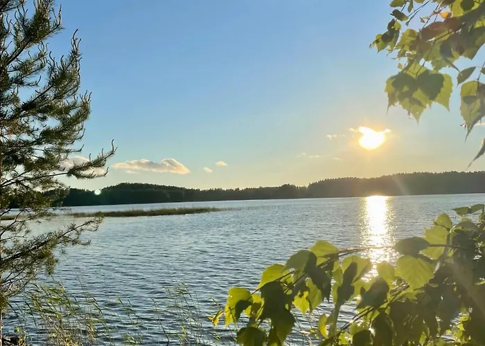 Blueberry At Saimaa Lakeside Vila Taipalsaari