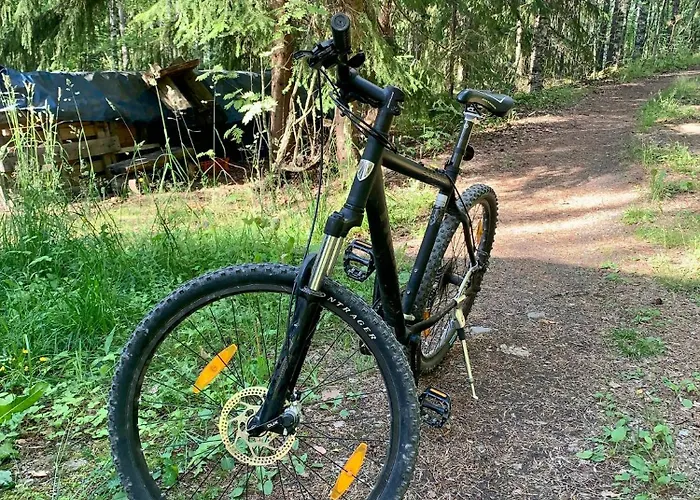 Blueberry At Saimaa Lakeside *