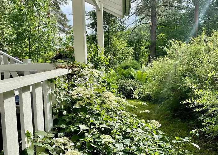 Blueberry At Saimaa Lakeside Vila