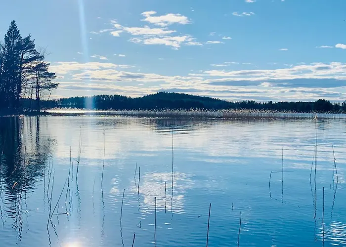 Blueberry At Saimaa Lakeside Тайпалсаари