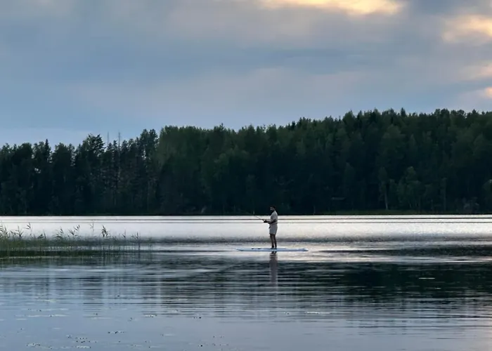 Blueberry At Saimaa Lakeside * Taipalsaari