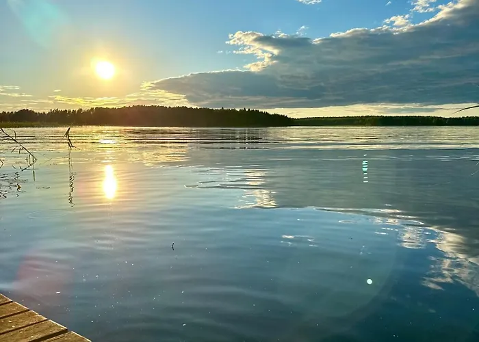 Blueberry At Saimaa Lakeside