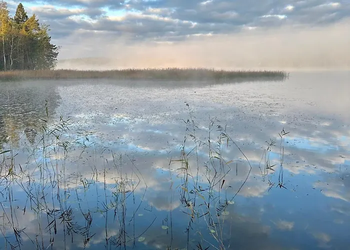 Blueberry At Saimaa Lakeside Vila *