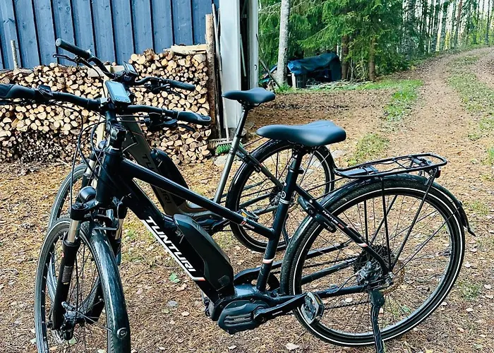 Blueberry At Saimaa Lakeside Тайпалсаари