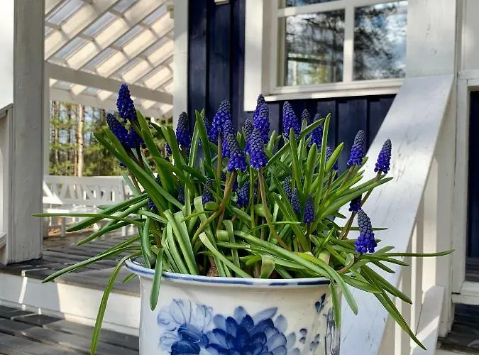 Vila Blueberry At Saimaa Lakeside *