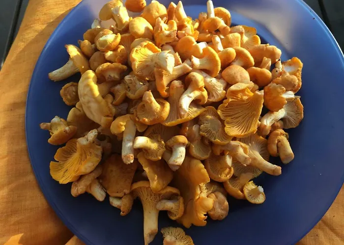 Vila Blueberry At Saimaa Lakeside