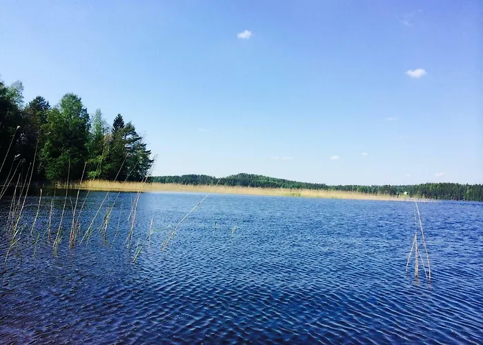 Blueberry At Saimaa Lakeside Vila